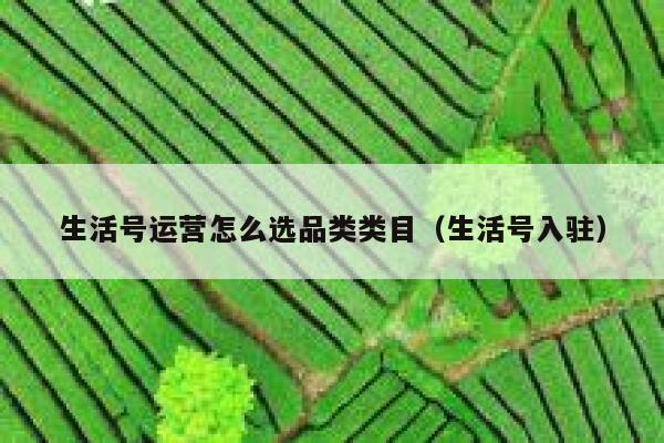 生活号运营怎么选品类类目（生活号入驻）