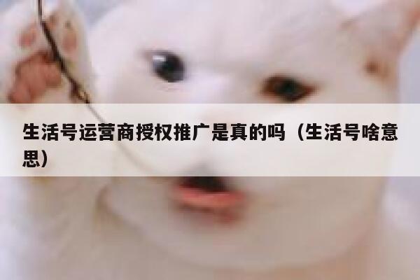 生活号运营商授权推广是真的吗（生活号啥意思）