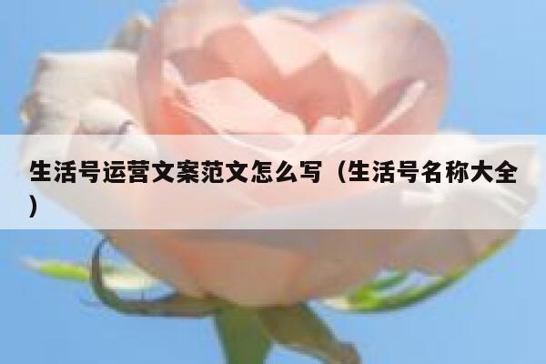生活号运营文案范文怎么写（生活号名称大全）
