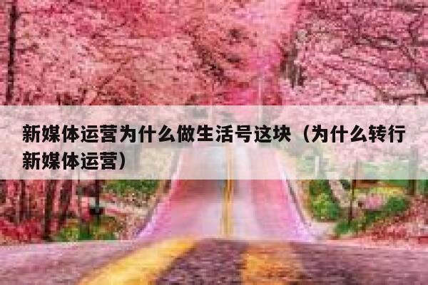 新媒体运营为什么做生活号这块（为什么转行新媒体运营）