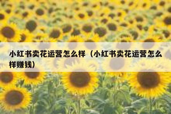 小红书卖花运营怎么样(小红书卖花运营怎么样赚钱)