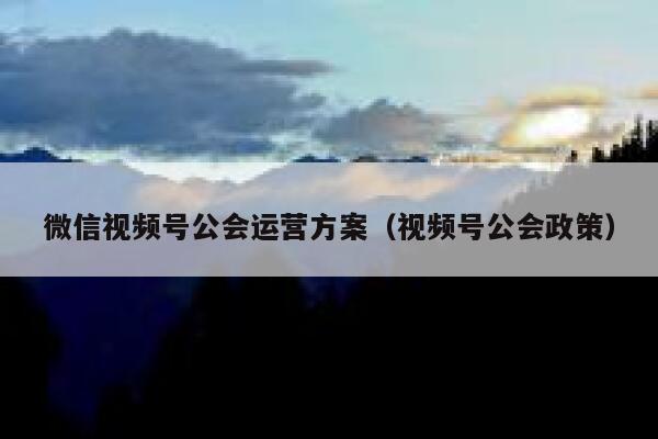 微信视频号公会运营方案（视频号公会政策）