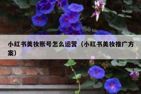 小红书美妆账号怎么运营（小红书美妆推广方案）