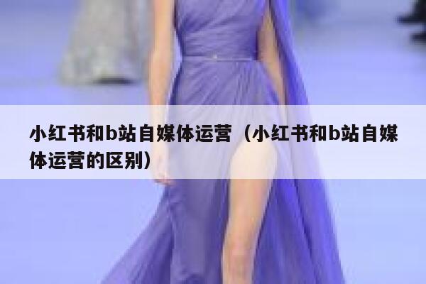 小红书和b站自媒体运营（小红书和b站自媒体运营的区别）