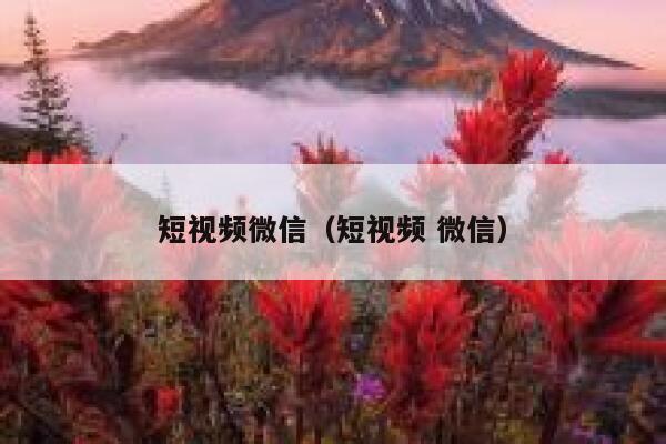 短视频微信（短视频 微信）
