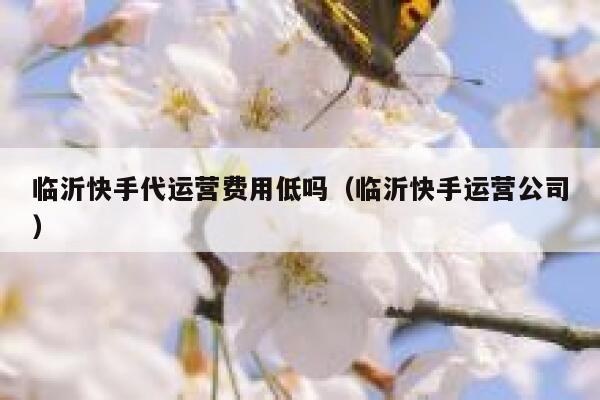 临沂快手代运营费用低吗（临沂快手运营公司）