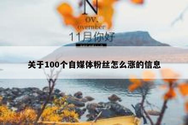 关于100个自媒体粉丝怎么涨的信息
