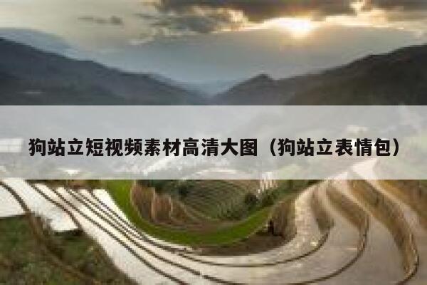 狗站立短视频素材高清大图（狗站立表情包）