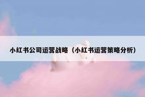 小红书公司运营战略（小红书运营策略分析）