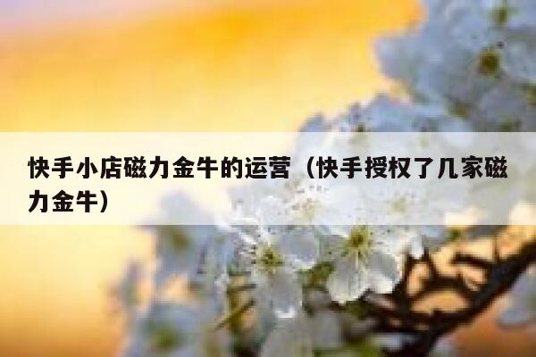 快手小店磁力金牛的运营（快手授权了几家磁力金牛）