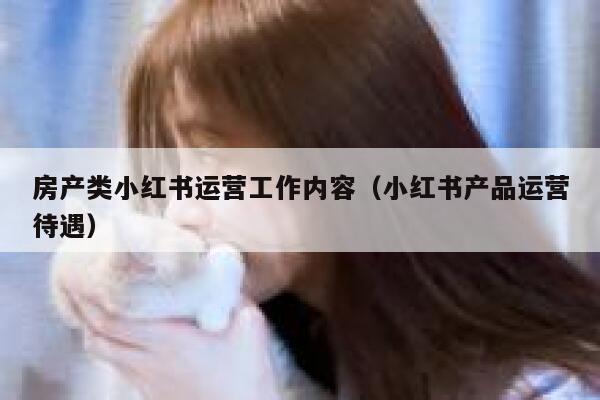 房产类小红书运营工作内容（小红书产品运营待遇）