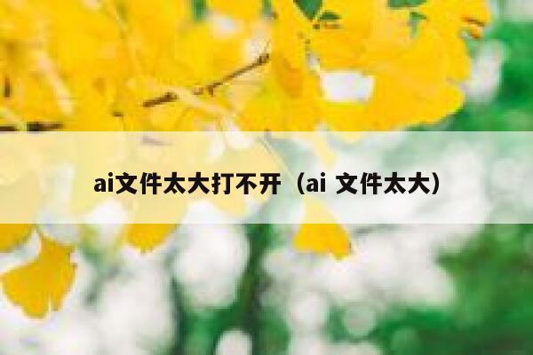 ai文件太大打不开（ai 文件太大）