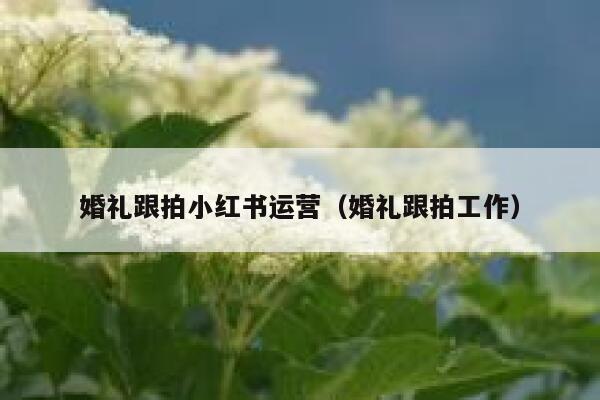 婚礼跟拍小红书运营（婚礼跟拍工作）