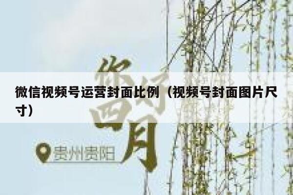 微信视频号运营封面比例（视频号封面图片尺寸）