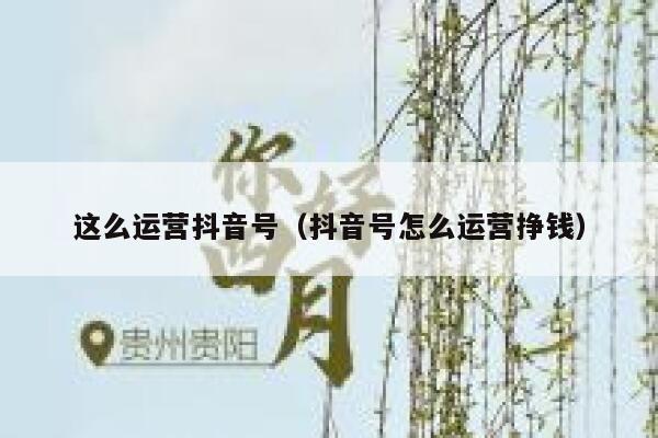 这么运营抖音号（抖音号怎么运营挣钱）
