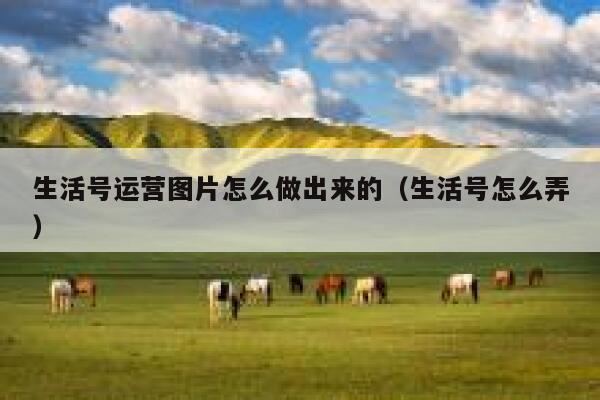 生活号运营图片怎么做出来的（生活号怎么弄）