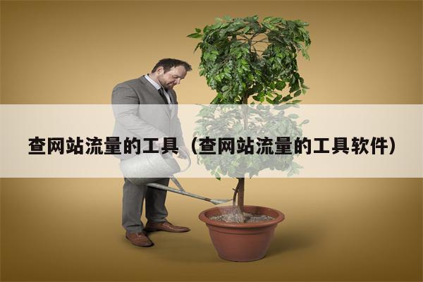 查网站流量的工具（查网站流量的工具软件）