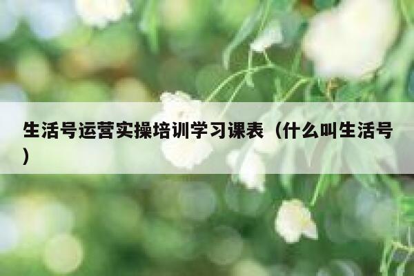 生活号运营实操培训学习课表（什么叫生活号）