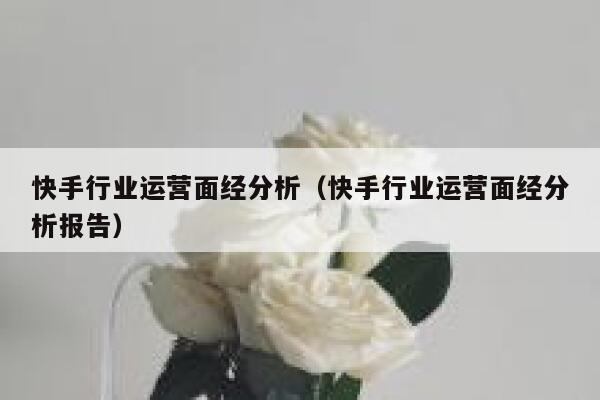 快手行业运营面经分析（快手行业运营面经分析报告）