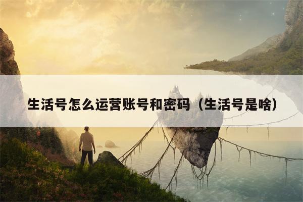 生活号怎么运营账号和密码（生活号是啥）