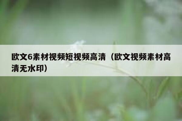欧文6素材视频短视频高清（欧文视频素材高清无水印）