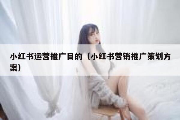 小红书运营推广目的（小红书营销推广策划方案）
