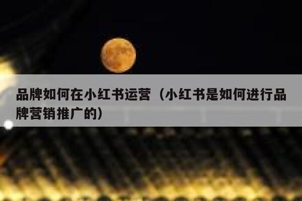 品牌如何在小红书运营（小红书是如何进行品牌营销推广的）