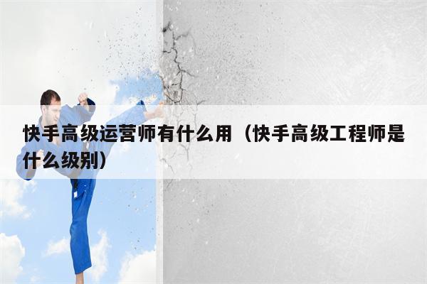 快手高级运营师有什么用（快手高级工程师是什么级别）