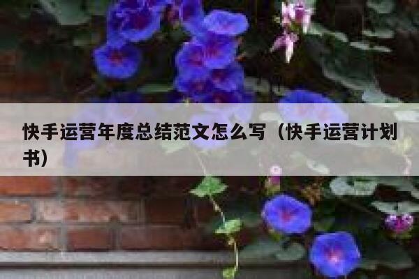 快手运营年度总结范文怎么写（快手运营计划书）