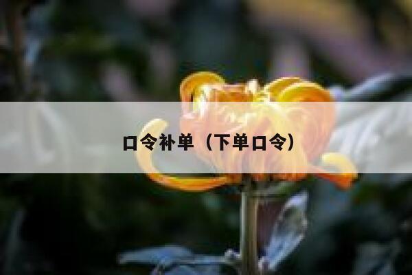 口令补单（下单口令）