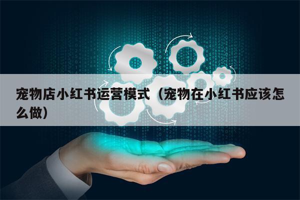 宠物店小红书运营模式（宠物在小红书应该怎么做）