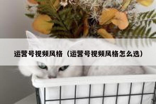 运营号视频风格（运营号视频风格怎么选）
