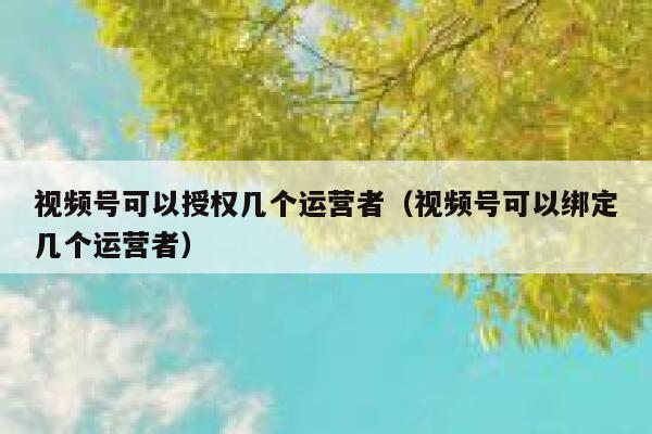 视频号可以授权几个运营者（视频号可以绑定几个运营者）