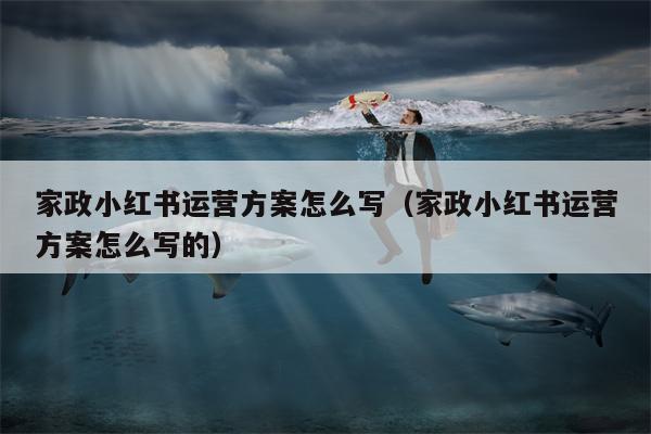 详细阅读:家政小红书运营方案怎么写(家政小红书运营方案怎么写的) 家政小红书运营方案怎么写(家政小红书运营方案怎么写的)