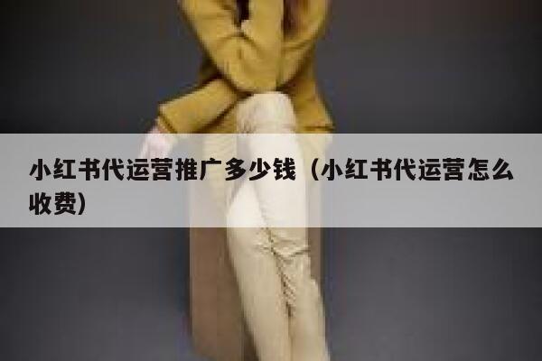小红书代运营推广多少钱(小红书代运营怎么收费)