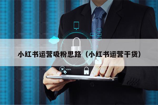 小红书运营吸粉思路（小红书运营干货）