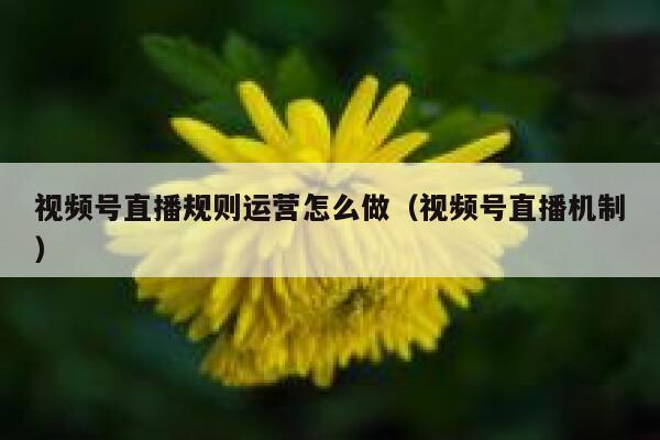 视频号直播规则运营怎么做（视频号直播机制）