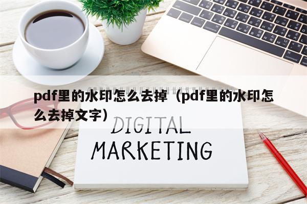 pdf里的水印怎么去掉（pdf里的水印怎么去掉文字）