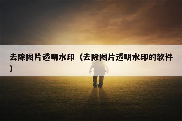 去除图片透明水印（去除图片透明水印的软件）