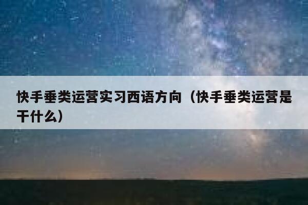 快手垂类运营实习西语方向（快手垂类运营是干什么）