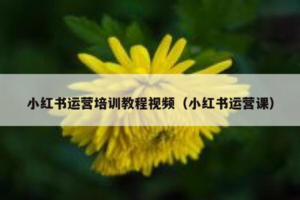 小红书运营培训教程视频（小红书运营课）