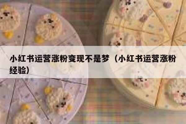 小红书运营涨粉变现不是梦（小红书运营涨粉经验）