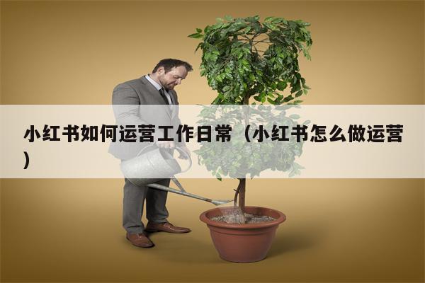 小红书如何运营工作日常（小红书怎么做运营）