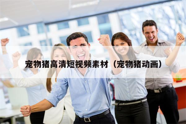 详细阅读:宠物猪高清短视频素材(宠物猪动画) 宠物猪高清短视频素材(宠物猪动画)