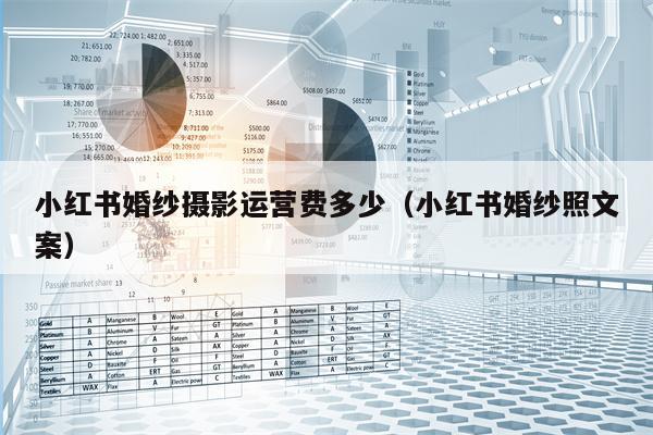 小红书婚纱摄影运营费多少（小红书婚纱照文案）
