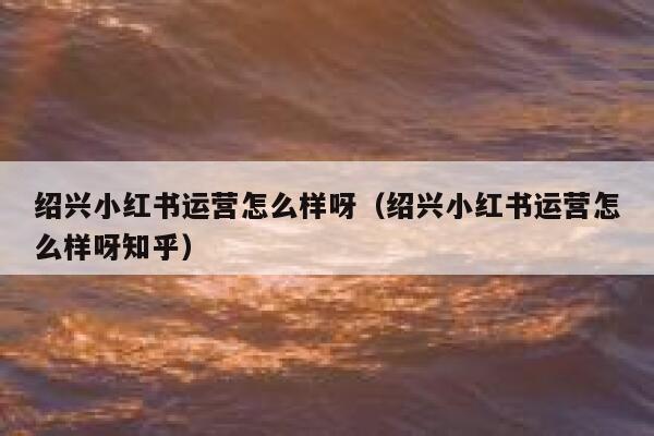 绍兴小红书运营怎么样呀（绍兴小红书运营怎么样呀知乎）