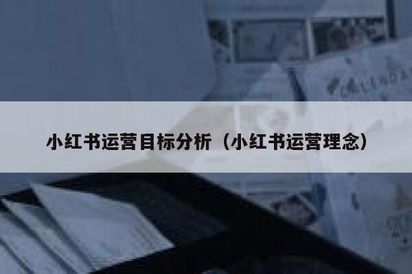 小红书运营目标分析（小红书运营理念）