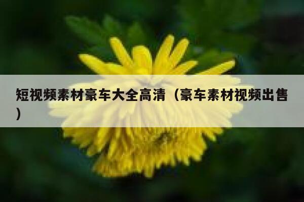 短视频素材豪车大全高清（豪车素材视频出售）