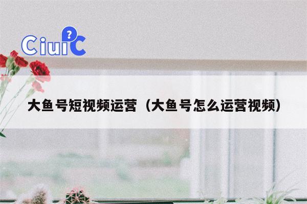 大鱼号短视频运营（大鱼号怎么运营视频）