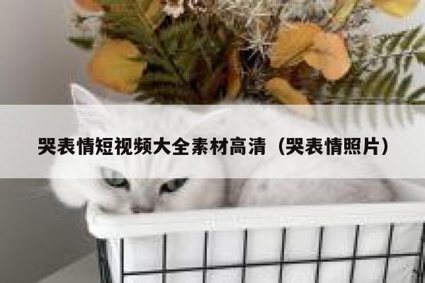 哭表情短视频大全素材高清（哭表情照片）